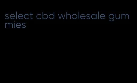 select cbd wholesale gummies