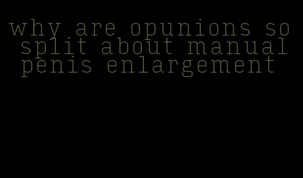 why are opunions so split about manual penis enlargement