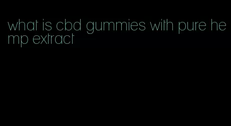 what is cbd gummies with pure hemp extract