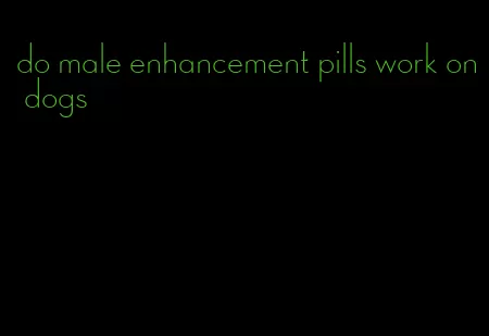 do male enhancement pills work on dogs