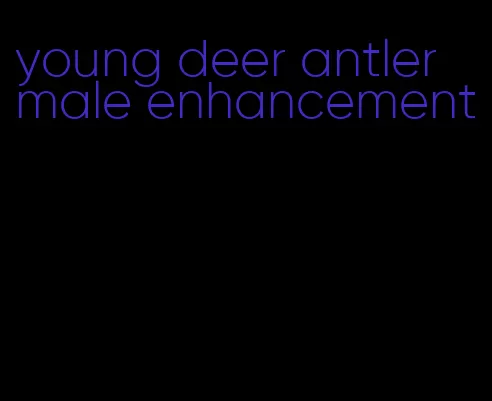 young deer antler male enhancement