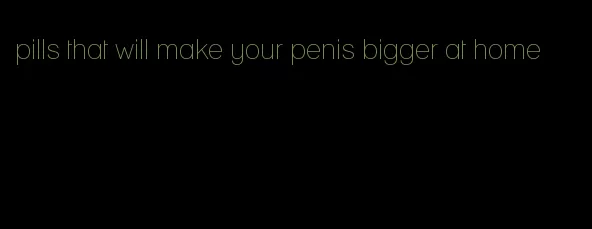 pills that will make your penis bigger at home